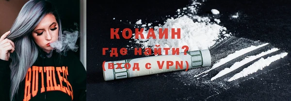 шишки Пересвет