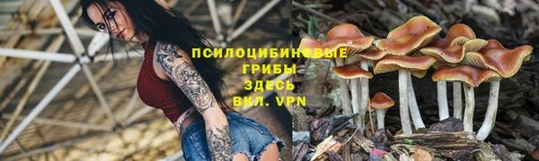 сатива Алексин