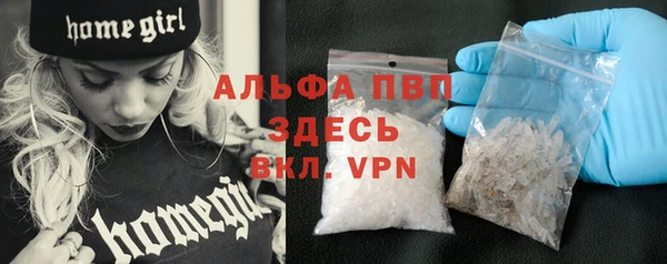 спиды Пестово